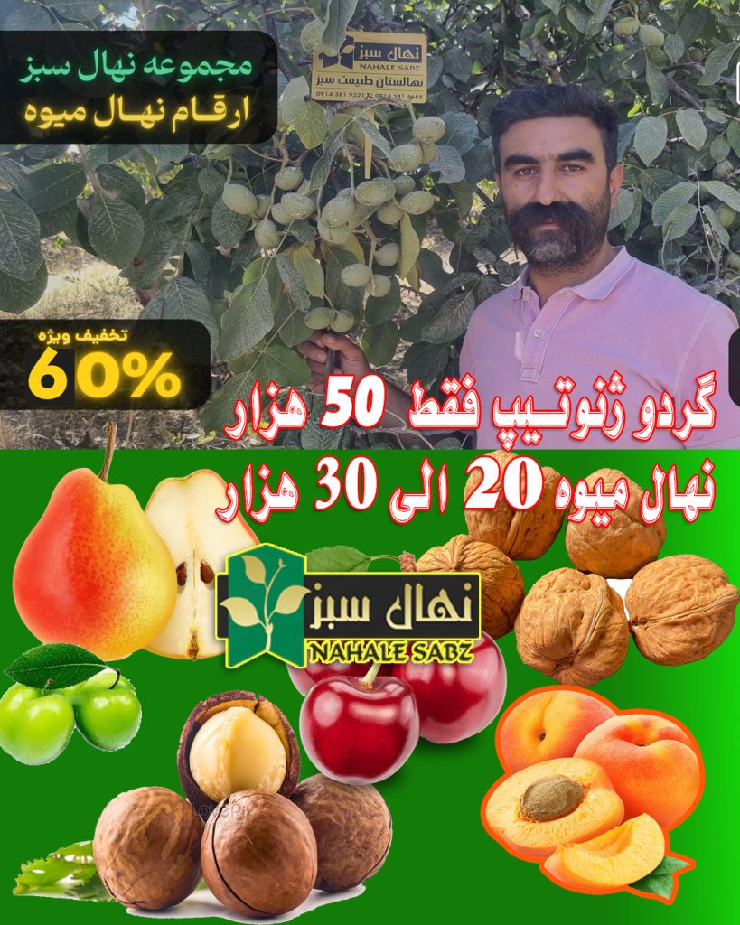 مجموعه نهالستان طبیعت سبز