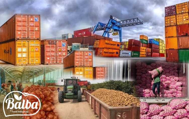 صادرات مواد غذایی - بالبا