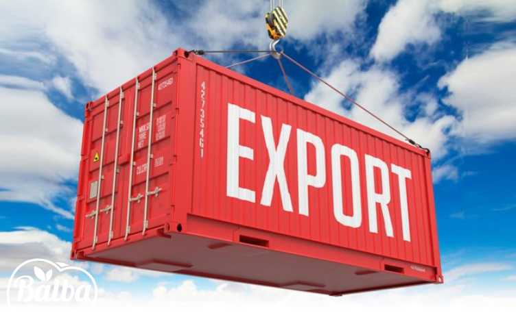 چالش‌های صادرات مواد غذایی - بالبا